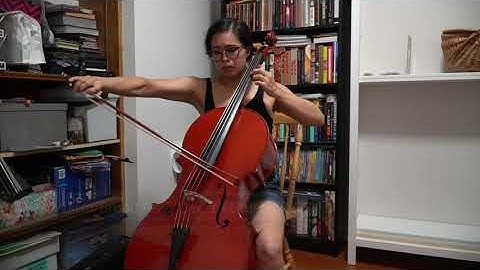 Larsen Il Cannone Cello String Comparison