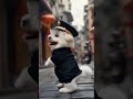 Dog Dance After Joined New Job Dog Dogloves Trendingshorts Shortsfeed Shorts Dog Dance After Joined New Job Dog Dogloves Trendingshorts Shortsfeed Shorts