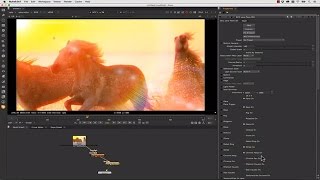 Quick Look: BCC 10 for Nuke