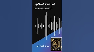 تلاوة سورة البقرة (الآيات 17 – 21) بصوت جميل