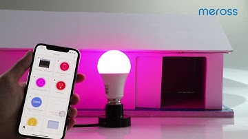 Meross Collie works with Meross smart light bulb