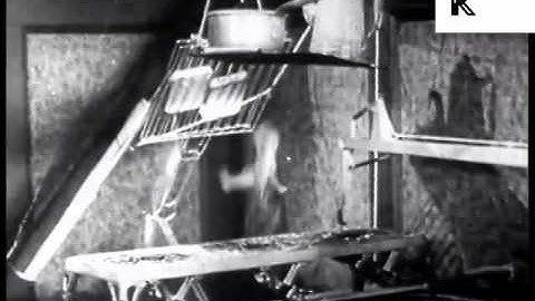 1920s Inventor Wakes Up, Morning Gadgets, Archive Footage