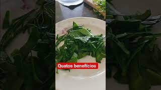 muito benefício #saude #cura #plantas #diaadia #vlogcomigo #shorts
