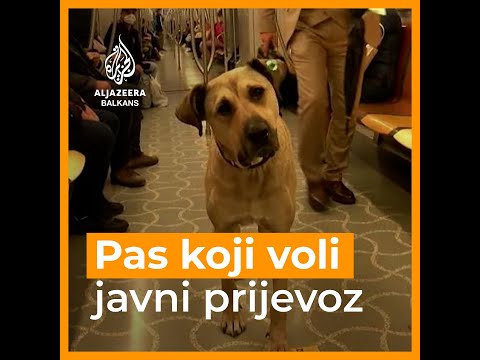 Video: Koji Su Prijevozi