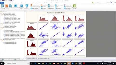 S16 Statistica Descriptive Statistics and Correlations
