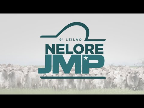 LOTE 25
