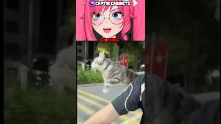 This kitty is FLYING!! 😹