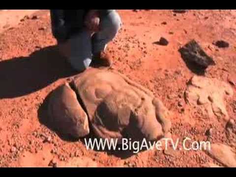 Datierung von Gesteinsfossilien und geologischen Ereignissen Labor Antworten Haken-up-Web