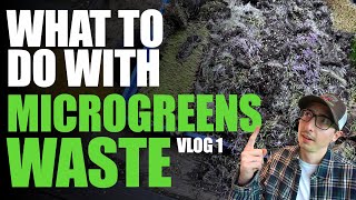 What To Do With Microgreens SOIL/ROOTS/WASTE After Harvest | VLOG 1