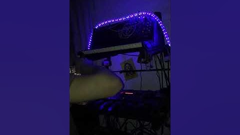 Korg MS20mini Vs. Korg monotribe