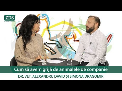 Video: Aveți Grijă De Sfaturile Nutriționale Pentru Magazinul De Animale De Companie