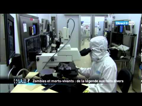 Vidéo: Les Scientifiques Ont Dit Quoi Faire En Cas D'apocalypse Zombie - Vue Alternative