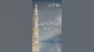 أفمن شرح الله صدره للإسلام | القارئ الشيخ ياسر الدوسري