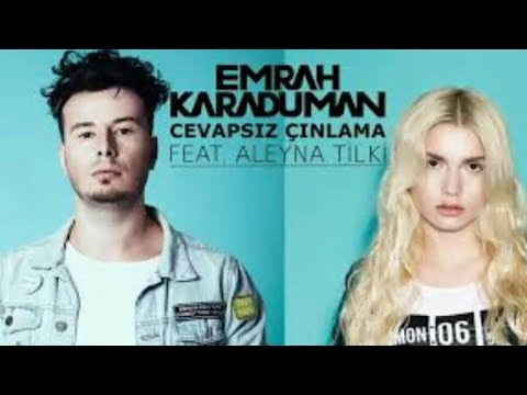 Alvin Ve Sincaplar - Cevapsız Çınlama