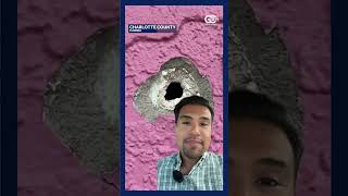 Florida adult store left riddled with bullet holes after shooting