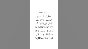 سورة الأنعام ١٤١