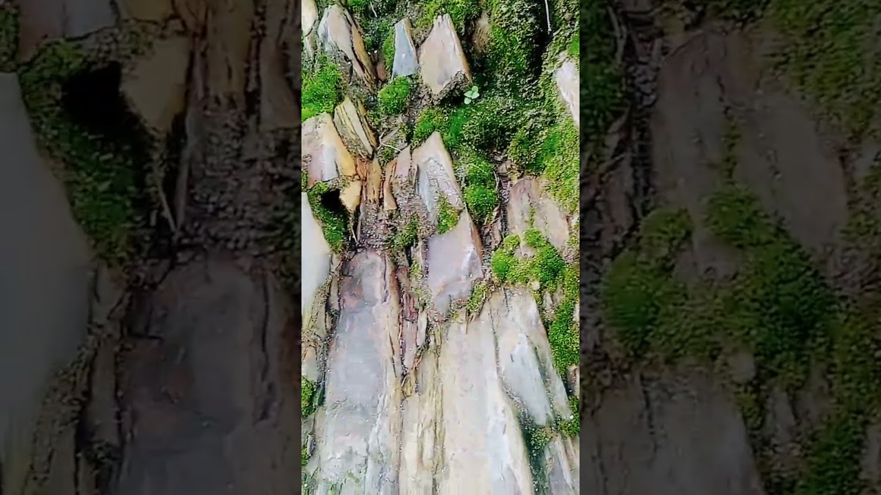 moisture covers shalestone