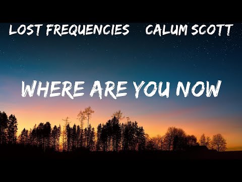 Where Are You Now - song and lyrics by Lost Frequencies, Calum