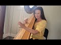 We Don't Talk About Bruno (Harp Cover by Vonda Darr)