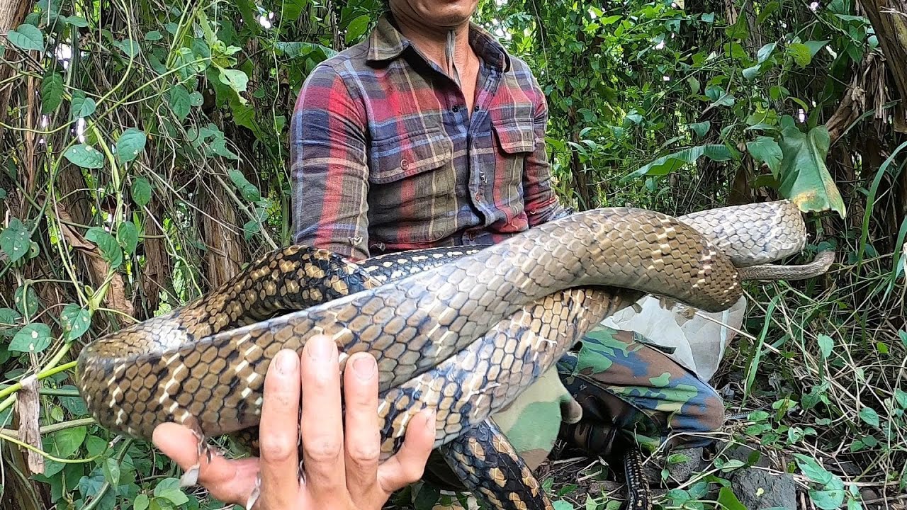 Chuyến Thăm Bẫy Bất Ổn - Thu Phục Quái Vật Khu Suối Hoang ở Bình Thuận