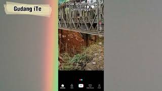 How to Share TikTok Videos to WhatsApp Status