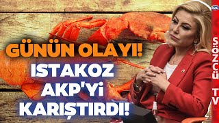 MONACO MALDİVLER ISTAKOZ! AKP'li İsimlerin O Paylaşımları Partiyi Karıştırdı! 'Defolup Gitsin!' Resimi