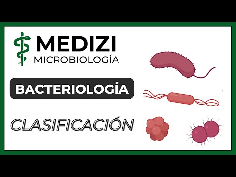 Video: ¿Cuál es el propósito de estudiar la morfología de las bacterias?