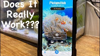 This App Can Identify Any Fish.... Kind of - Picture Fish App Review screenshot 5