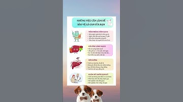 Những việc cần làm để bảo vệ lá gan của bạn/Đặng Kim Toàn