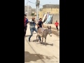 قتل الحمير بطريقه بشعه هههه 