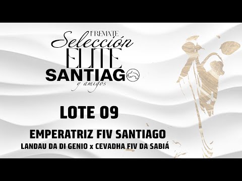 Lote 09   Emperatriz FIV Santiago