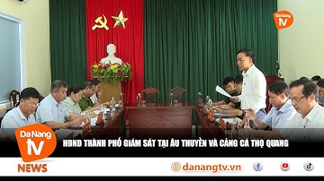HĐND THÀNH PHỐ GIÁM SÁT TẠI ÂU THUYỀN VÀ CẢNG CÁ THỌ QUANG