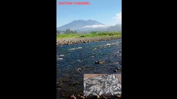 Mancing ikan Wader di spot dengan pemandangan yang begitu indah