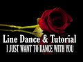 I just want to dance with you  line dance dancetutorial