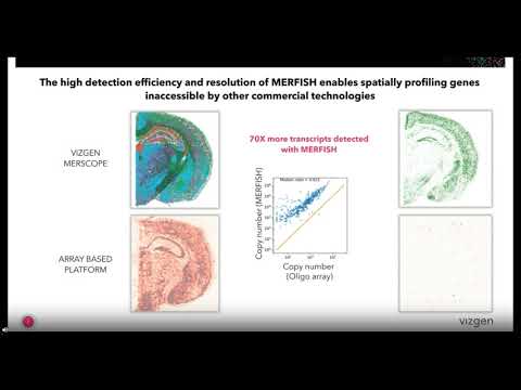 Webinar: GABA receptive microglia selectively sculpt developing inhibitory circuits