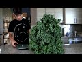 Massive Kale Salad Challenge (Morgan's back)