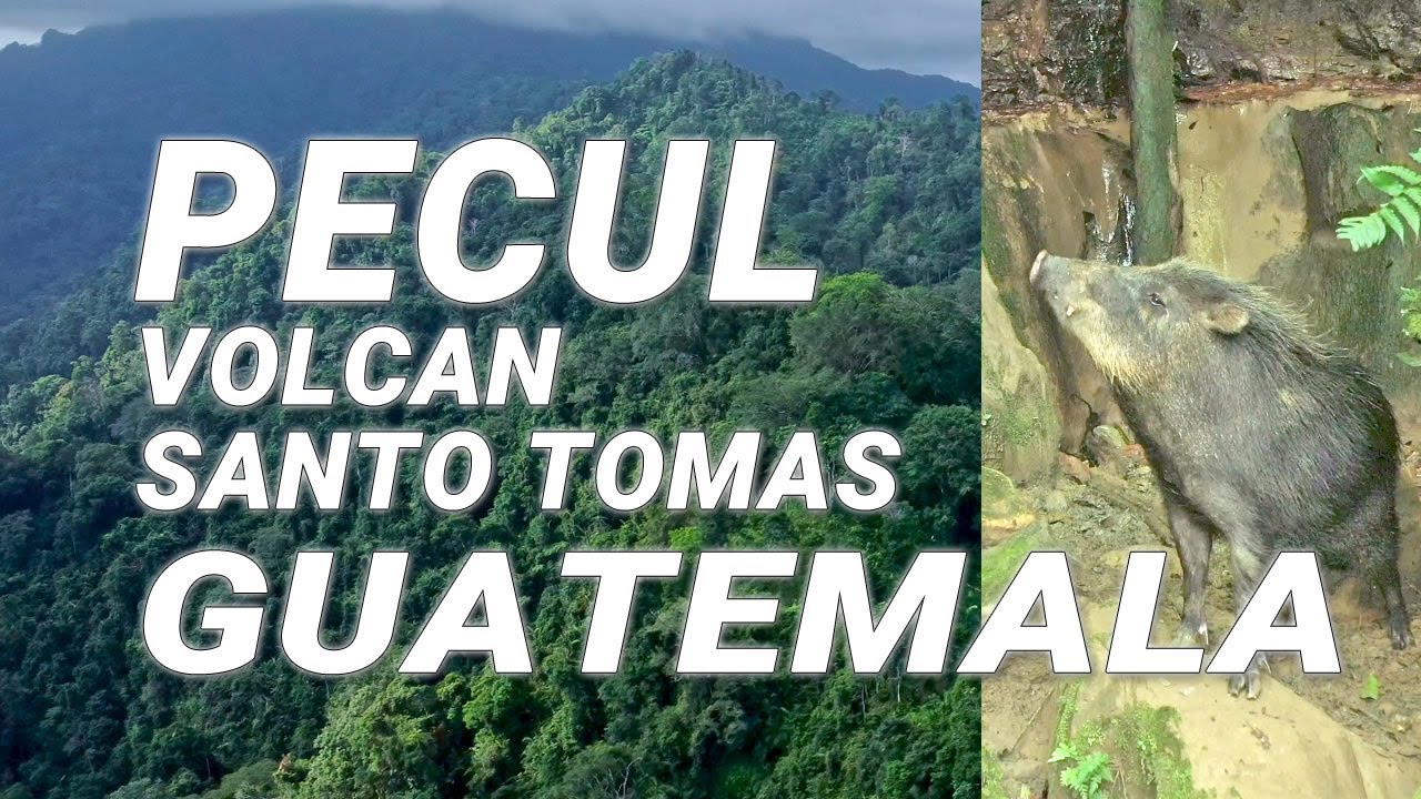 Explorando las faldas del Volcán Santo Tomas Pecul Guatemala YouTube