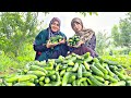 Iran village life  cooking rural style food  daily routine village life of iran