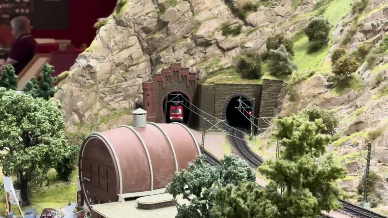 Flixtrain  als Modellbahn.  {Lok: Vectron Flixtrain Edition}