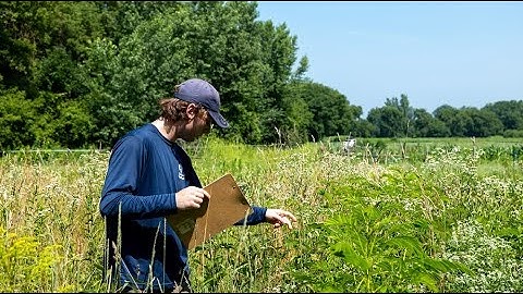 Buzzing Borders: FSRI Undergrad Fellow Ben Mowery Studies the Effectiveness of Pollinator Strips