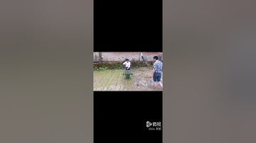 Rice transplanter in two rows