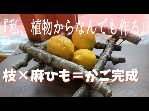 自然素材で作る秋の工作、子どもと一緒に楽しむコツ