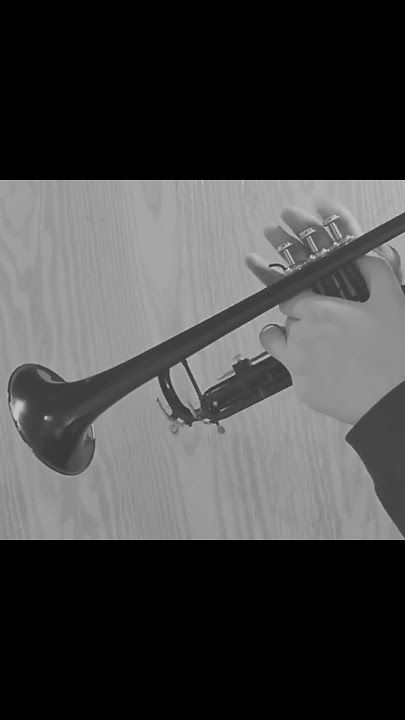 #jazz #trumpet #music #musician #tenormadness #jazzimprovisation