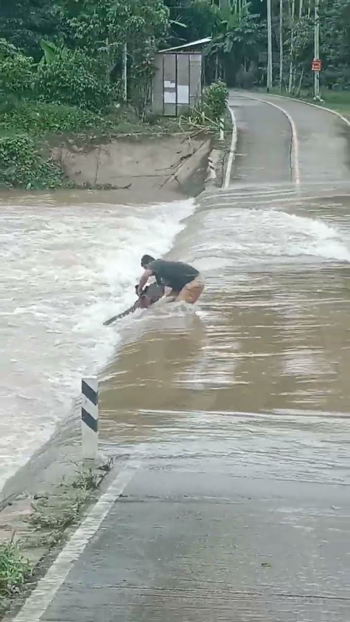 Man Rescues Drowning Dog From Flooding Road || ViralHog