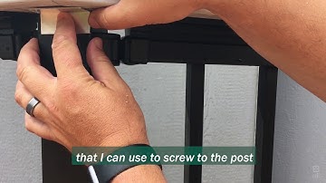 Joe