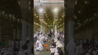 گنبد خضرا viralvideo shortvideo medina madinasharif haram haramsharif harmain masjidnabawi
