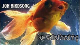 Jon Birdsong- Pay Walled Breathing (full album)