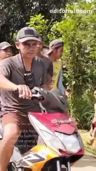 Curi Kakao, Pria di Polman Dimassa Warga #news #update #newsupdate #kriminal #pencurian #buahkakao