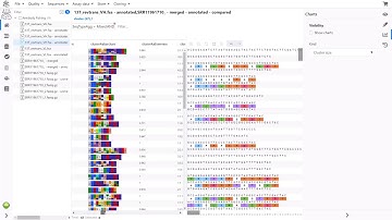 Clustering of Sanger and NGS data
