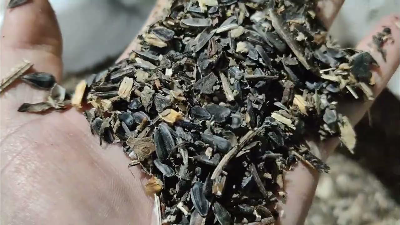 Брикет із відходів Брикет зі стебел кукурудзи брикет із соломи - YouTube